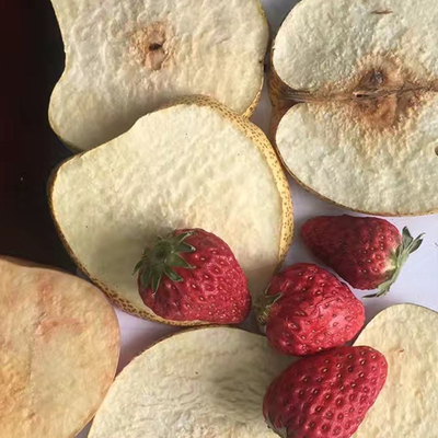 Yoğurt Çilekli Jackfruit Vakumlu Dondurma Kurutucu PLC Patates Cipsi Kurutma Makinesi