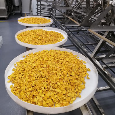 OEM ODM Endüstriyel Mikrodalga Vakum Kurutucu Avokado Tropikal Meyve Kurutma Fırını