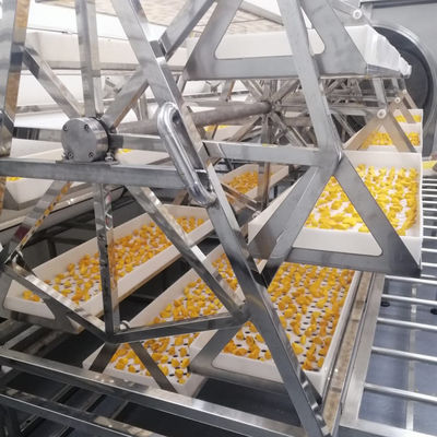 24KW Ticari Mikrodalga Vakum Kurutucu Ananas Mango Kurutucu Fırın