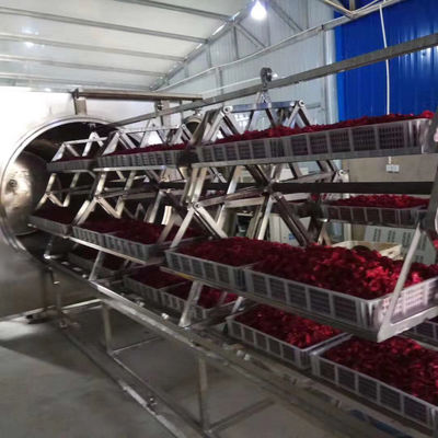 48kw Döner Vakum Mikrodalga Fırın