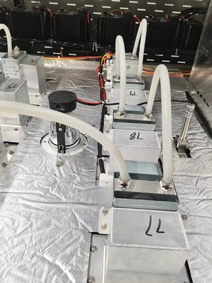 48-60kg/H Kava Toz Mikrodalga Tünel Fırın Endüstriyel Kurutma Makinesi